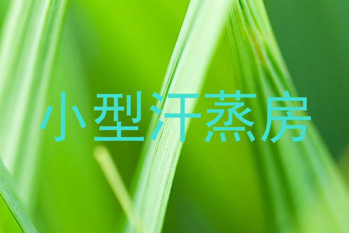 小型汗蒸房
