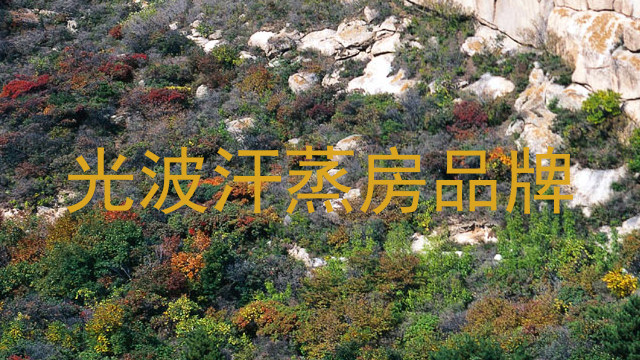 光波汗蒸房品牌
