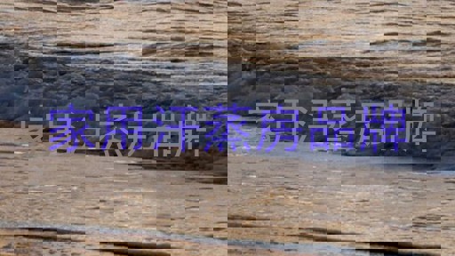家用汗蒸房品牌