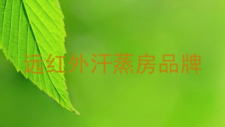 远红外汗蒸房品牌