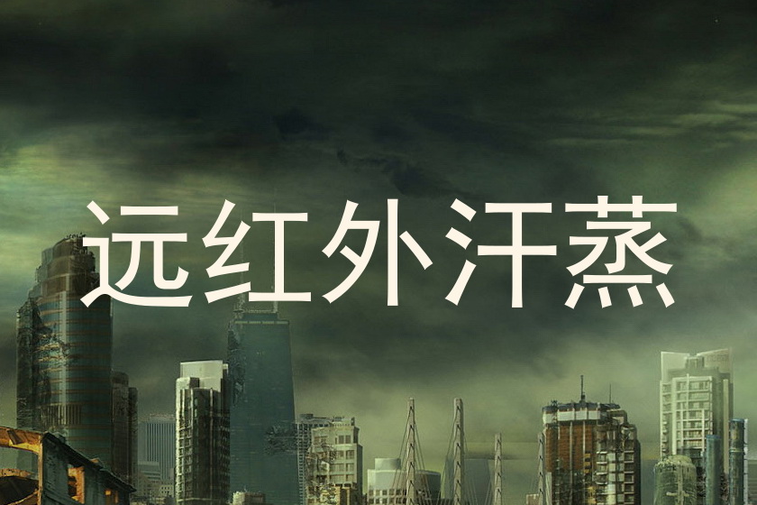 远红外汗蒸