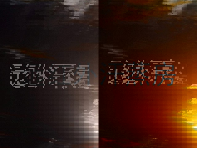 远红外汗蒸房