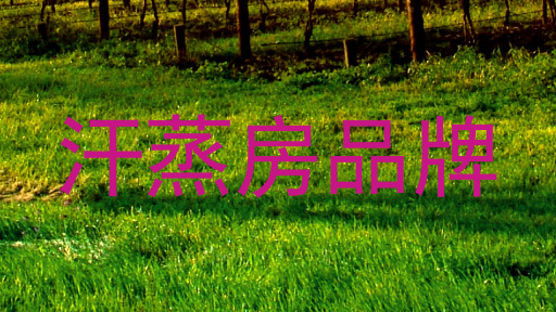 汗蒸房品牌