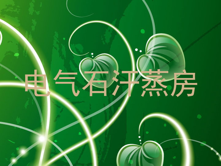 电气石汗蒸房