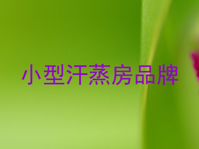 小型汗蒸房品牌