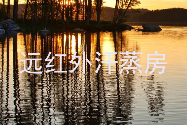 远红外汗蒸房