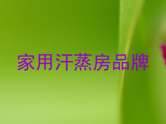 家用汗蒸房品牌