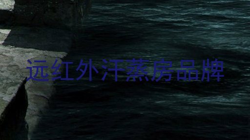 远红外汗蒸房品牌