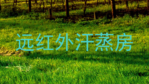 远红外汗蒸房