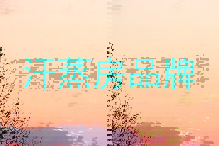汗蒸房品牌