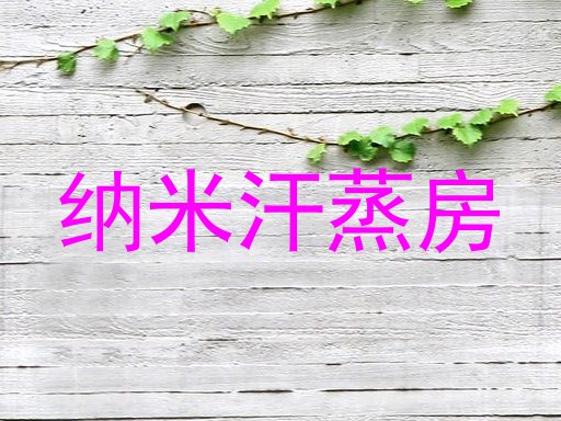 纳米汗蒸房
