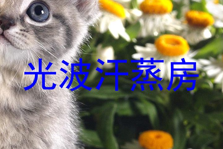 光波汗蒸房