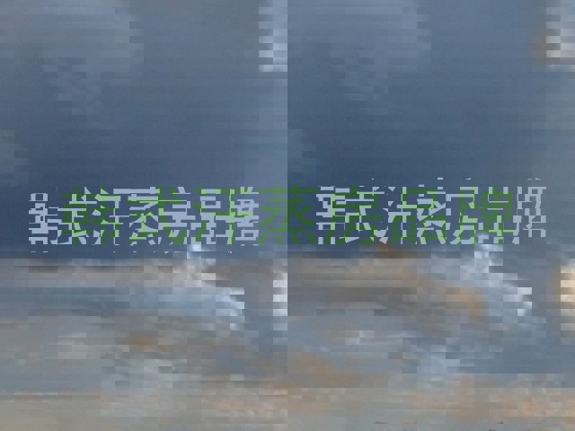 韩式汗蒸房品牌