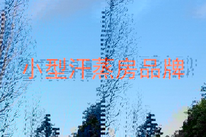 小型汗蒸房品牌