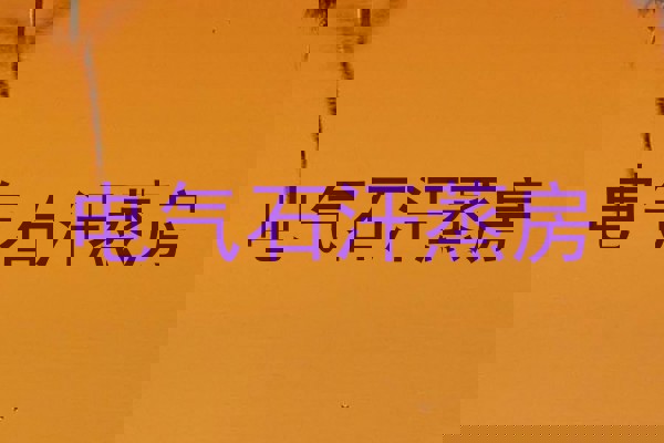 电气石汗蒸房