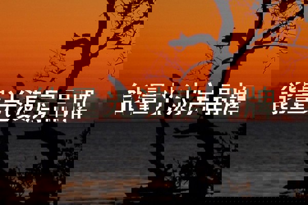 能量光波房品牌