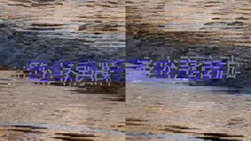 远红外汗蒸房品牌