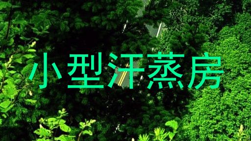 小型汗蒸房