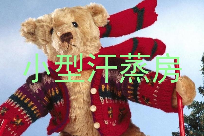 小型汗蒸房