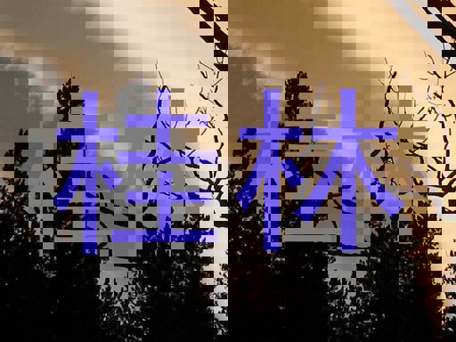 桂林