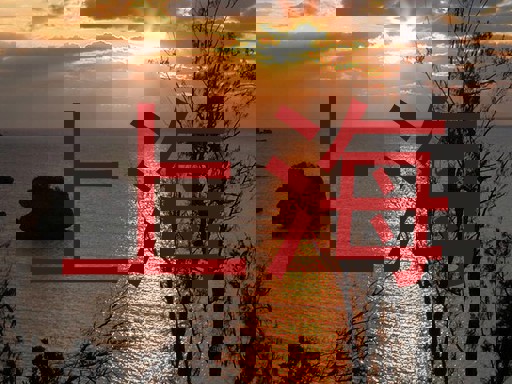 上海