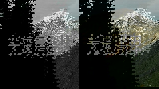 光波房品牌