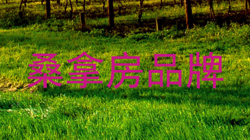 桑拿房品牌