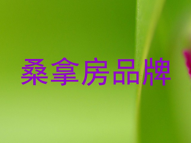 桑拿房品牌