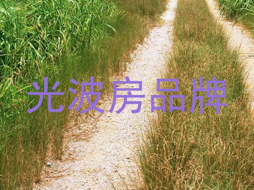 光波房品牌