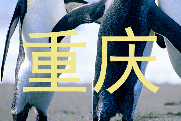 重庆