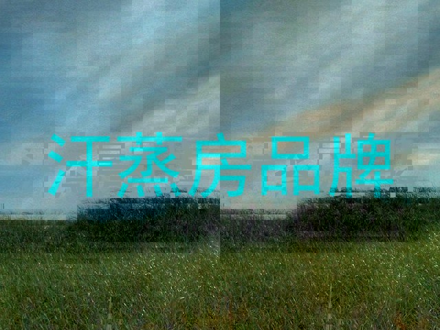 汗蒸房品牌