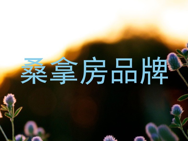 桑拿房品牌
