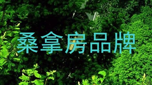 桑拿房品牌