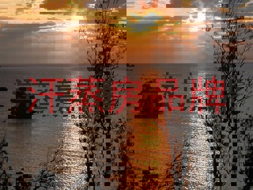 汗蒸房品牌