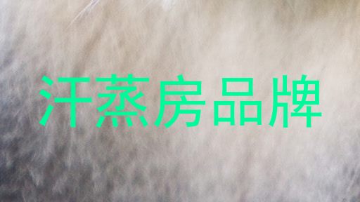 汗蒸房品牌
