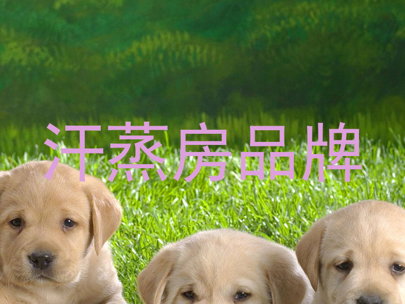 汗蒸房品牌