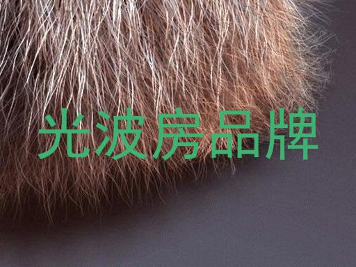 光波房品牌