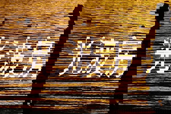 光波房