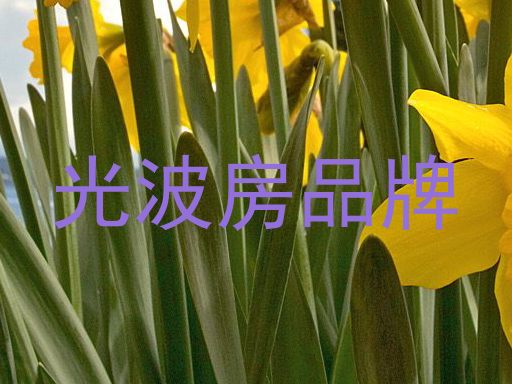 光波房品牌