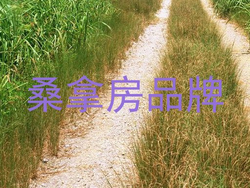 桑拿房品牌