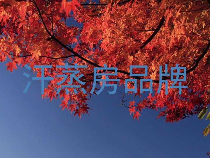 汗蒸房品牌