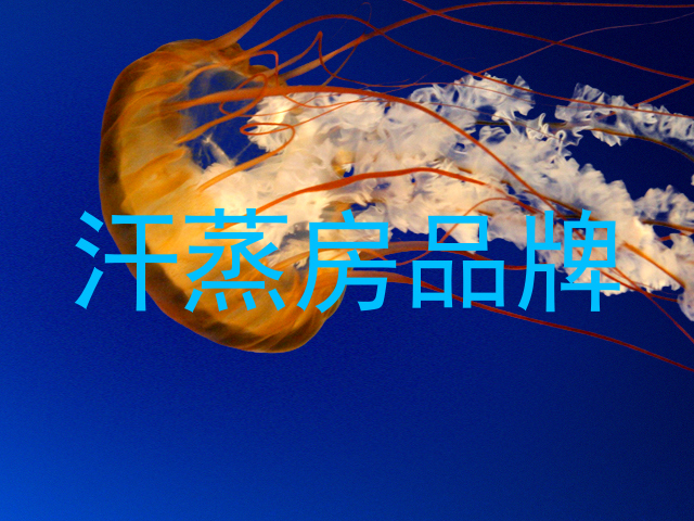 汗蒸房品牌