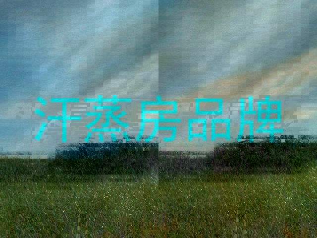 汗蒸房品牌
