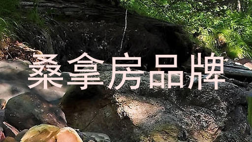 桑拿房品牌