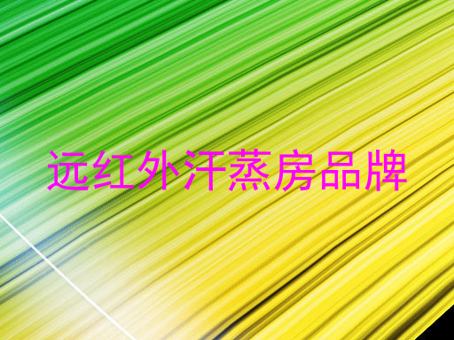 远红外汗蒸房品牌