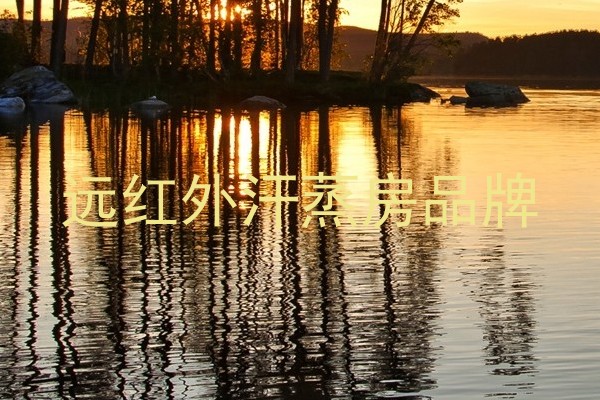 远红外汗蒸房品牌
