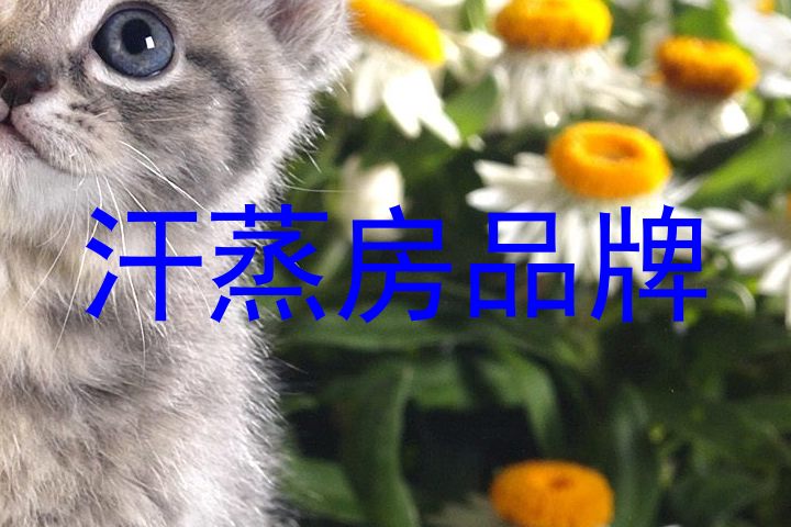 汗蒸房品牌