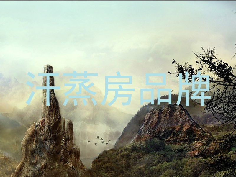 汗蒸房品牌