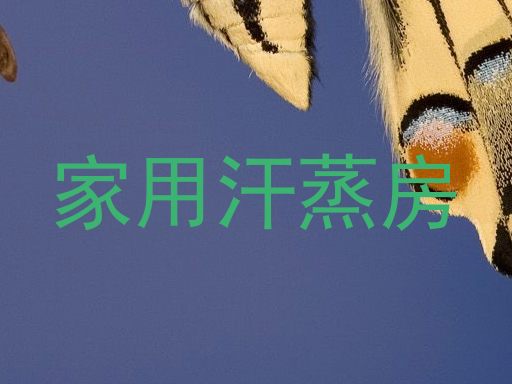 家用汗蒸房