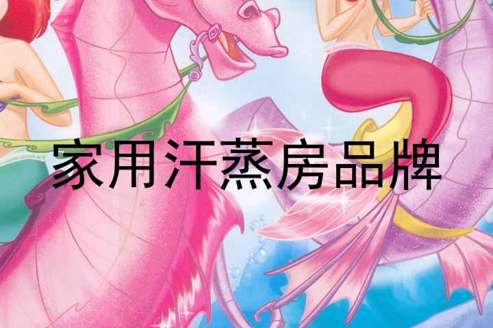 家用汗蒸房品牌